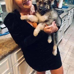 Velvet long sleeve party dress